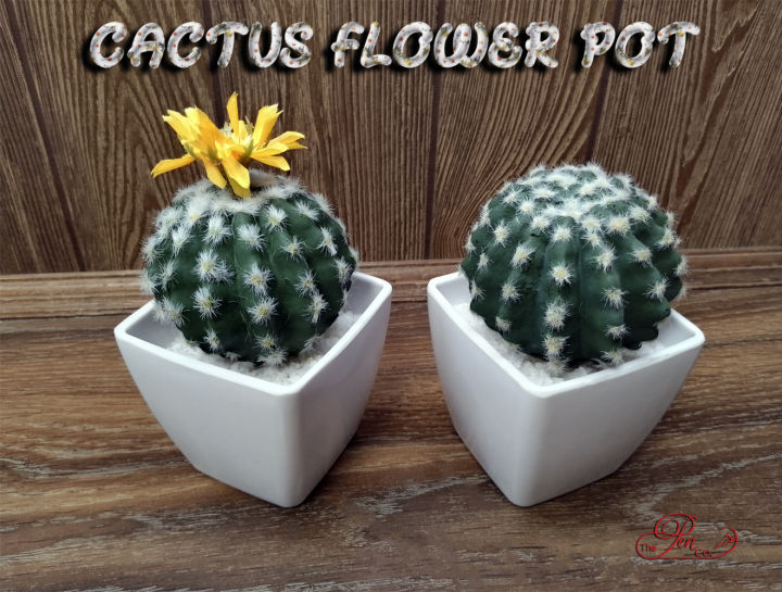 Table%20Ceramic%20Cactus%20Vase%20,%20Plant%20Pot%20for%20Home%20Decor%20Centerpieces%20With%20Artificial%20Flower%20Gift%20-%20Image%202