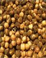Dry Roasted Chana ( Bhuna Chana) - 1000 gm. 