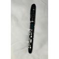 Hauser INX - Fountain pen Best fountain pen to buy. 