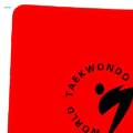 Taekwondo Board Practicing Accessories Martial Arts Karate Breaking Board. 
