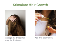Rosemary Essential Oil 100% Pure & Natural - 100% Therapeutic Grade Undiluted Organic Rosemary Essential Oils for Hair Growth, Hair Loss, Skin & Diffuser. 