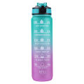 1L Sports Water Bottle Straw Cup 1 Litro with Time Maker Leak-Proof BPA Free Frosted Cup For Outdoor Sports Drinking Bottle. 