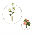 2 Wall Planter (Small & Large) Hanging Succulent Pot Black and Gold Planters Round Glass Plant Pots Home Flower Vase Air Plant Terrariums Container No Plant Customize by HB Steel Fixerr. 