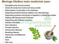 Organic Moringa Tea - 20 Teabags. 