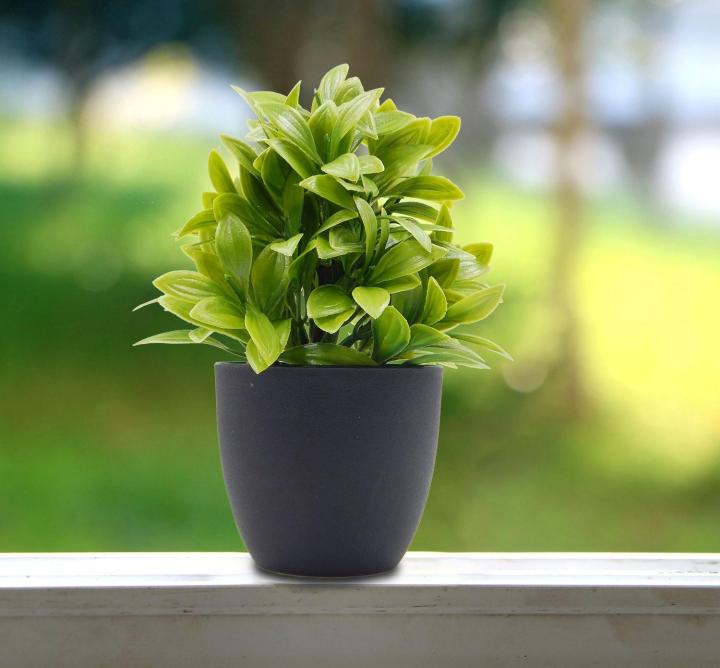 Pack%20of%203%20Small%20Flower%20Pots%20for%20Cactus%20and%20Artificial%20Plants%20-%20White%20-%20Image%206