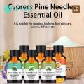 DR BEI Essential Oil Natural Ingredients Cypress Pine Needles Essential Oil. 