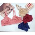 Pack Of 2 Non-Padded & Non-Wired Full Cover Full Net Transparent Bra A486. 
