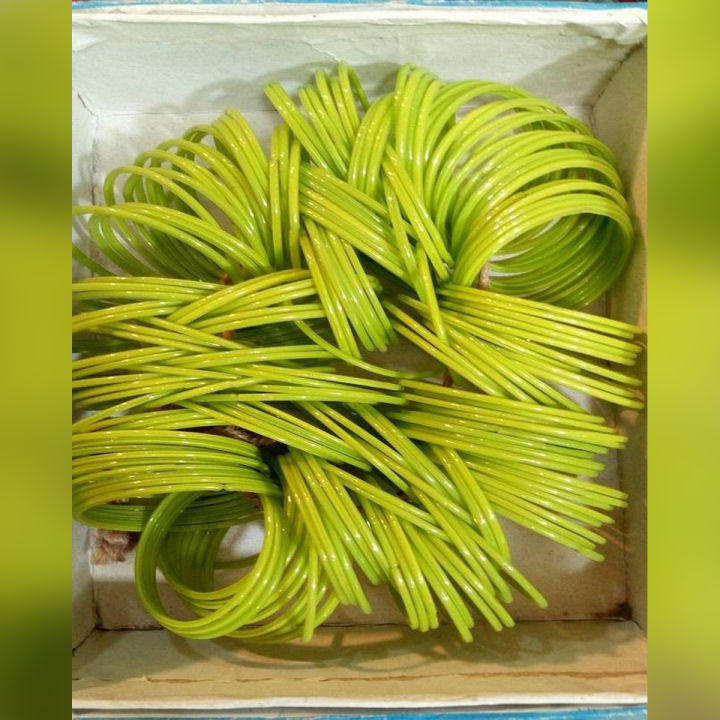 Plain Glass Bangles - Size 2.25 - Color Parrot Green: Elegant And Simple Glass Bangles For A Fashionable And Traditional Look