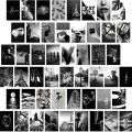 50 PCS Aesthetic Black Theme Photo Cards 4x6 Inch Glossy Prints for Wall Decor. 