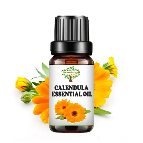 Herbology%20Calendula%20Aromatherapy%20Essential%20Oil%20100%25%20Pure%20Therapeutic%20Grade,%20Steam%20Distilled%20-%20Image%203