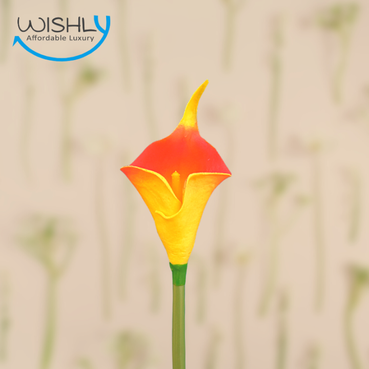 Wishly%20Real%20Touch%20Calla%20Lily%20-%20Artificial%20Silk%20Flowers%20artificial%20Stems%20&%20Bouquet%20Pack%20of%205,%20for%20Home%20Shop%20Office%20Restaurant%20Wedding%20Party%20D%C3%A9cor%20/%20DIY%20Flower%20Arrangement%20Decoration.%20-%20Image%205