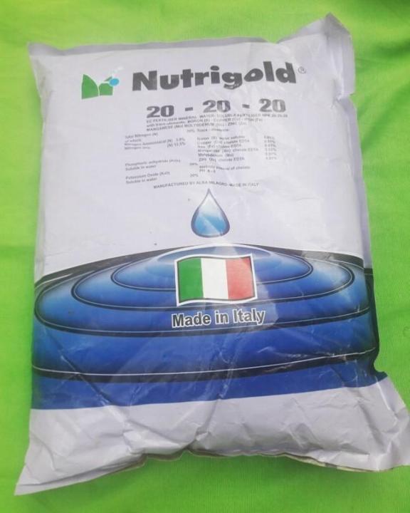 250%20Gm%20-%20Imported%20Npk%2020-20-20%20With%20Te%20All%20Purpose%20Fertilizer%20For%20All%20Plants%20-%20Image%204