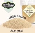 Dry yeast/Active Dry yeast/Instant Yeast-100gm. 