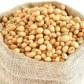Soya beans whole 1000 gm. 