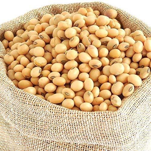 GreenFinity:%20Soybeans%20(SOYA%20Bean)%20-%20400Gms%20-%20Image%203