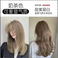 Milk Tea Gray Brown Hair Dye 2024 Popular Color White Cold Brown Own Dye Your Own Hair at Home Pure Plant Hair Dye Cream. 