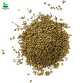Ajwain اجوائن دیسی - Carom Seeds 1KG - 100% Original , Fresh And Pure Ajvain 1000 grams by Herbisol. 