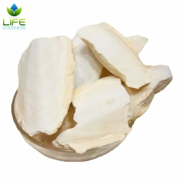 Samandar%20Jhag%20%7C%20Seafoam%20Samundar%20Fan%20%7C%20100%20%25%20Pure%20organic%20CuttleFish%20-%20Image%203