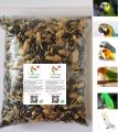 3.5KG Special Treat, Seed Mix Feed with moringa leaves For Large Parrots African Grey Parrot, Macaw, cockatoo Alexandrian parakeet, RAW, Pahari Totta and Other, Parrot Treat & Parrot Blend. 
