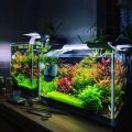 1.5Ft Planted aquarium. 