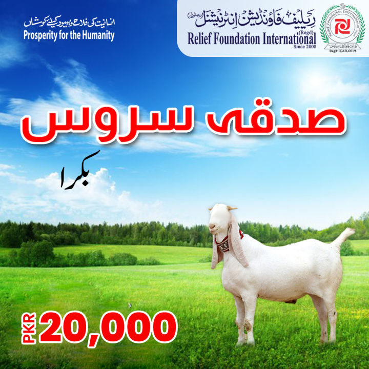 Sadqa Service  Goat