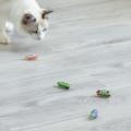 Electric Insect Cat Toy Cat Escape Obstacle Automatic Flip Toy Battery Operated Vibration Pet Beetle Playing Toy Mini Robot Bugs. 
