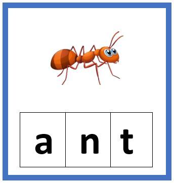 Three Letter Words Flashcards