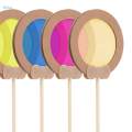 5x Kids Paddles Educational Kindergarten Color Learning Teaching Tools for Birthday. 