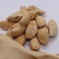 Abdul Wahidi Almonds with Shell | Abdul Wahidi Badam 250 grams pack, Fresh Quality by NM Dry Fruits since 1960. 