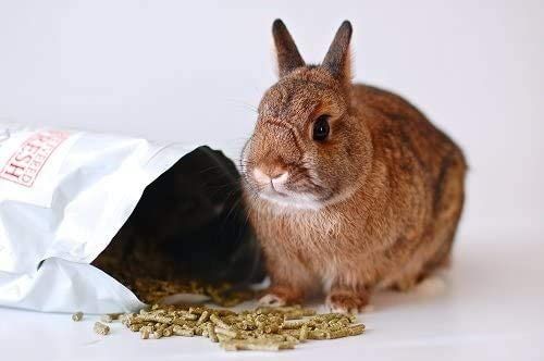 Small%20Pet%20Select%20Rabbit%20Food,%201%20kg.%20-%20Image%204