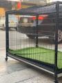 Folding Cage for adult Dog & Cats. 