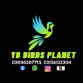 Parrots Seed Cleaner Machine (PVC). 