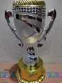 top best reward golden& silver plastic trophy for cricket,football,badminton. 