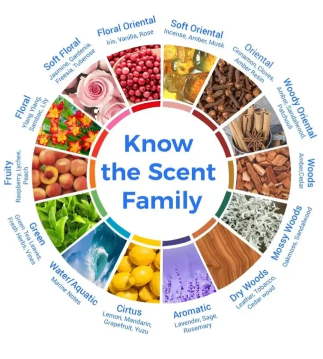 Dorall%20Collection%20DC4U%20Exclusive%20Men%20Eau%20de%20Toilette%20%E2%80%93%20100ml%20-%20Image%206