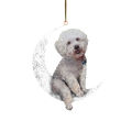 Hanging Pendant Flat Car Rearview Mirror Backpack Pendant. 