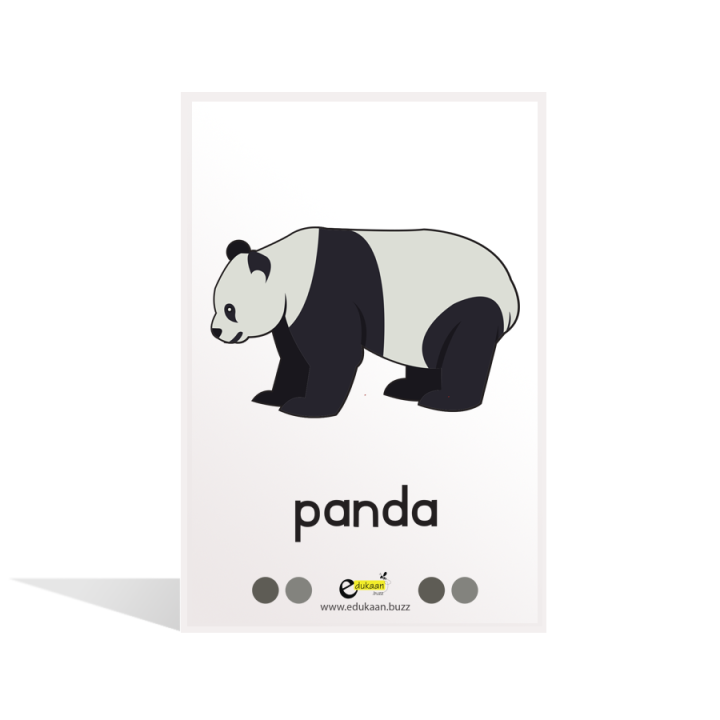 WILD%20ANIMALS%20(ANIMATED)%20FLASH%20CARDS%20-%208014%20-%20Image%204