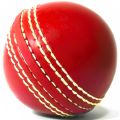 Sports Soft Rubber Cricket Practicing Training Hard Ball Practice PVC indoor Cricket ball  for Coaching, Training, Practice & Excellent Bounce Skills Soft Foam Rubber Cricket Ball. 