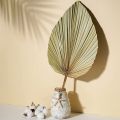 Dried Palm Leaves Room Decor 5 Pieces - 18Inch H x 10Inch W Palm Leaf. 