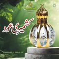 Premium Kashmiri Oud Attar – 6ml Roll-On – Alcohol-Free Perfume for Men & Women by Ahmad Perfumes. 