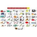 Urdu Alphabets With Pictures Fs-05 Coloured. 