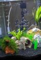 Camel Brown Sand - Sea Sand - Best for Planted and Fresh Water Fish Tank - Terrarium Sand - DIY Epoxy Resin Beach Sand - 1 KG. 