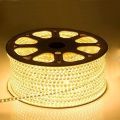 Warm Yellow LED Strip Lights, 1-20 meter available  LED Neon Light Rope, Outdoor Flexible , DC 12V Adapter, LED Light for Home, Indoors, Outdoors Decoration DIY. 