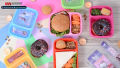 Maxware Household Student Lunch Box Small 700ml, Lunch Box with two portions/Compartments, Best Lunch box for School kids. 