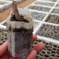 400 Pcs ing Bags Small Plant Grow Non-Woven for Home Garden. 