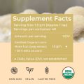 Rooted Lions Mane mushroom Extract Powder (120 gm) | Memory, Focus, Brain Powder & Nerve Health. USDA Organic, 38% Beta Glucans, Certified organic. 