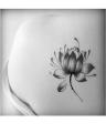 Temporary Tattoos Water Lily Lotus Flower. 