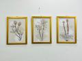 Bareeh- Set of 3, Abstract Artwork, decent flower design, Modern European painting, Wall Frames,  Home Decor, Office Decor, Wall Art Frames for living room/drawing room/ bedroom. 