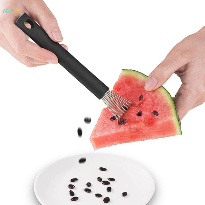 Fruit Seed Removal Device Stainless Steel for Fruit Pitter Home Kitchen
