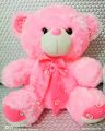 Teady Bear stuff toy (13 inches). 