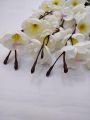 Artificial Flowers For Home Decor Office Decor Decoration Blossom Bunch All pictures are Original White. 